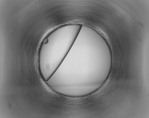 X0000113180800200910021542