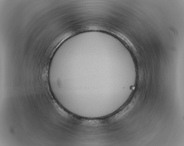 X0000113180801200910021542
