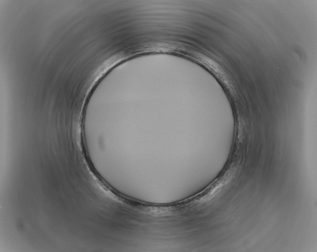 X0000113180802200910021542