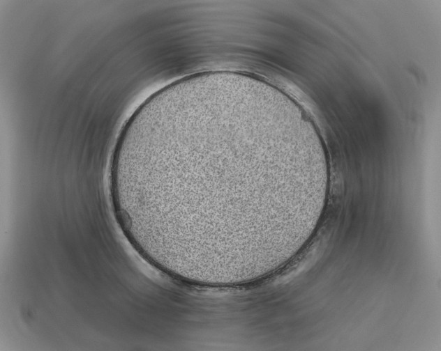 X0000113180803200910021542