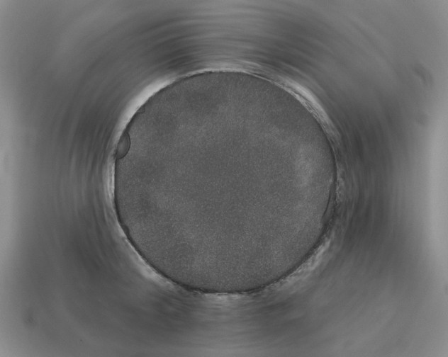 X0000113180804200910021542