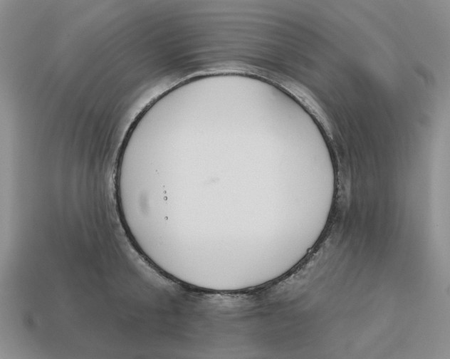X0000113180805200910021542