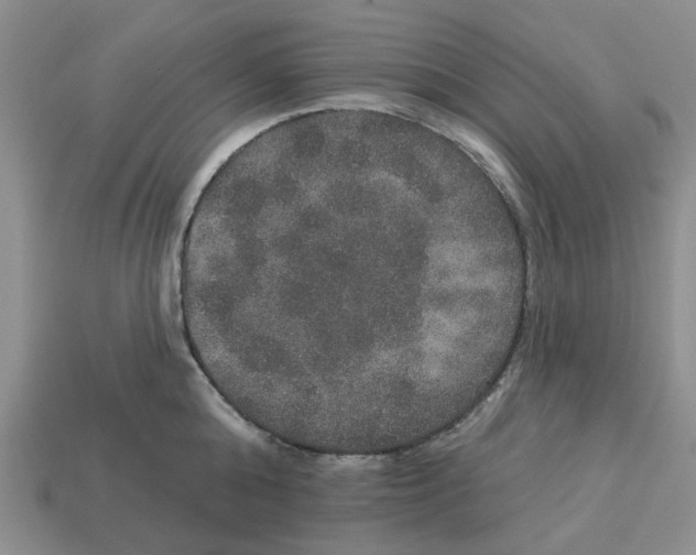 X0000113180808200910021542