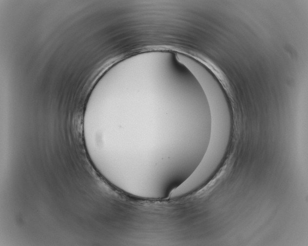 X0000113180809200910021542