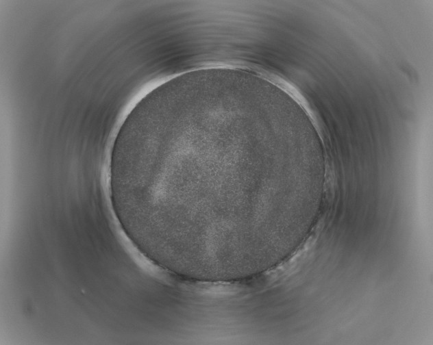 X0000113180811200910021542