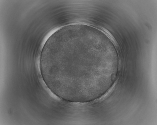 X0000113180812200910021542
