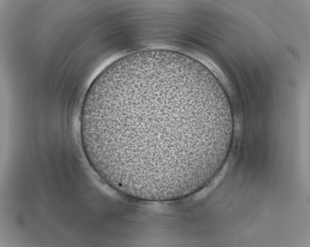 X0000113180814200910021542