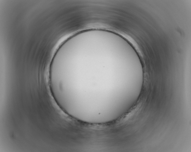 X0000113180815200910021542