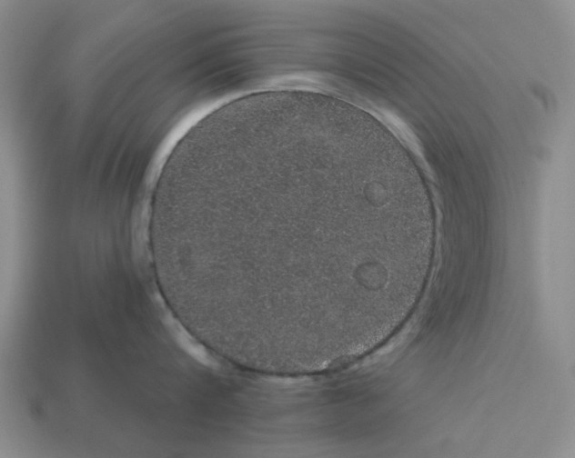 X0000113180816200910021542