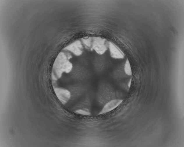 X0000113180817200910021541