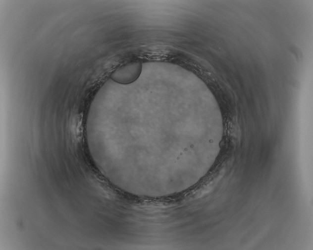 X0000113180818200910021541