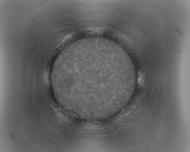 X0000113180819200910021541