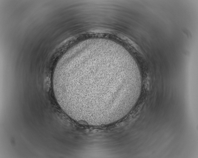 X0000113180821200910021541