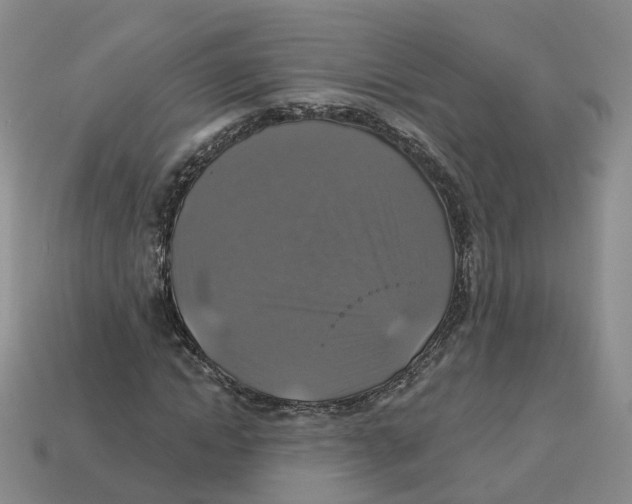 X0000113180822200910021541