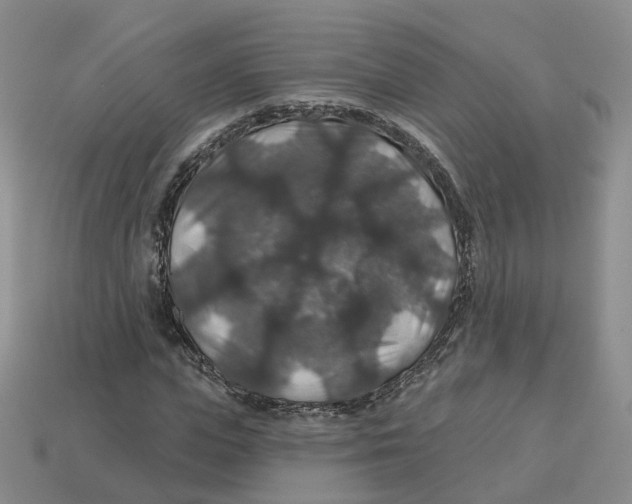 X0000113180823200910021541