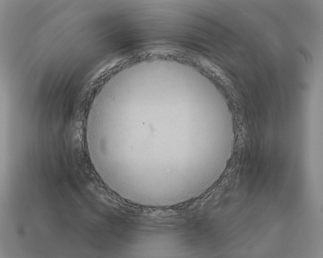 X0000113180824200910021541