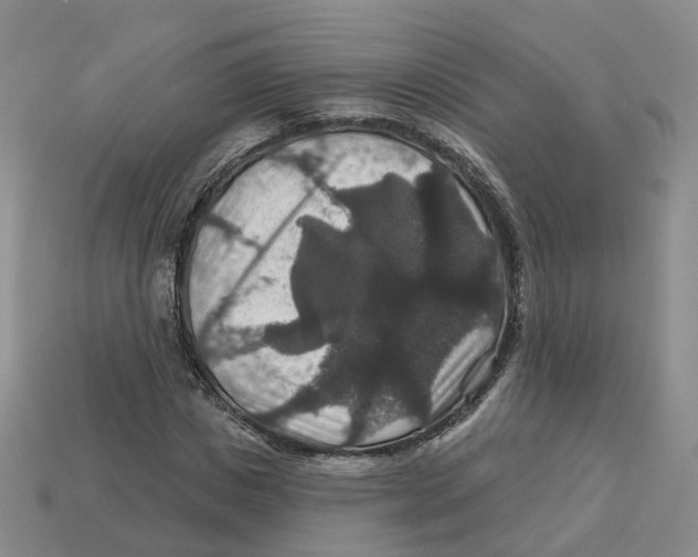 X0000113180825200910021541