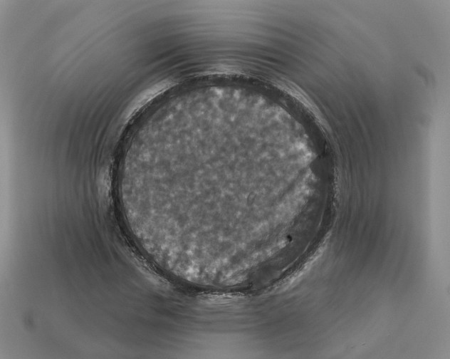 X0000113180826200910021541