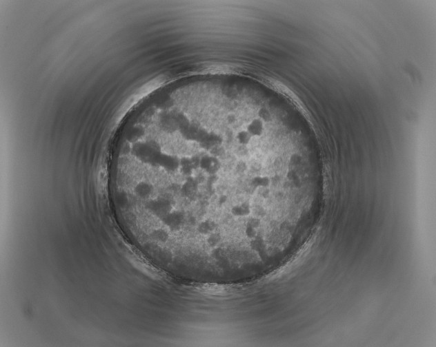 X0000113180827200910021541