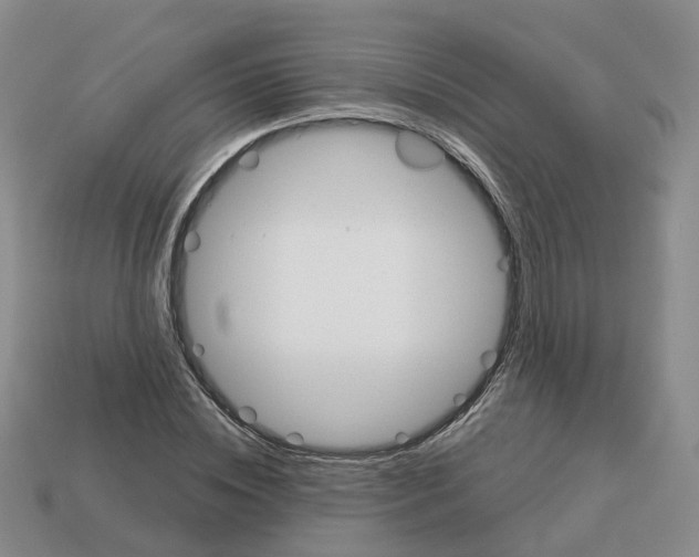 X0000113180828200910021541