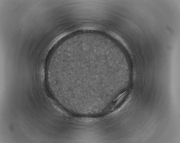 X0000113180829200910021541