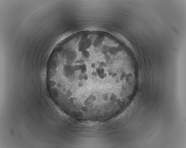 X0000113180831200910021541