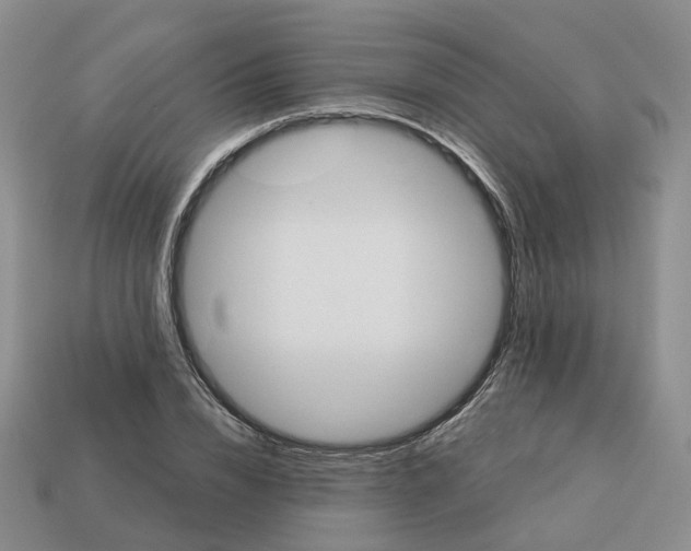 X0000113180832200910021541
