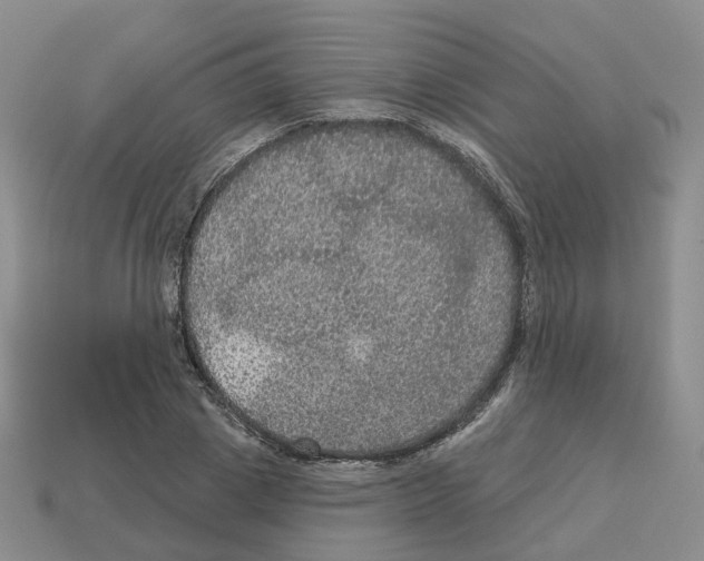 X0000113180833200910021541
