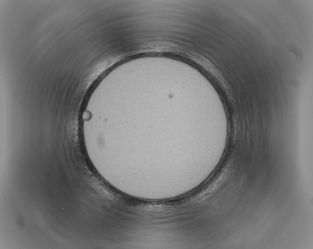 X0000113180834200910021541