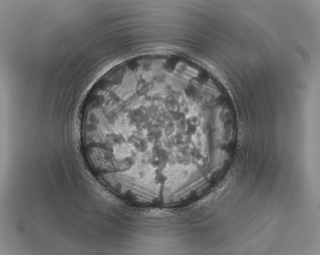 X0000113180835200910021541