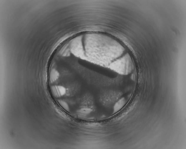 X0000113180837200910021541