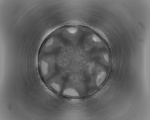 X0000113180839200910021541