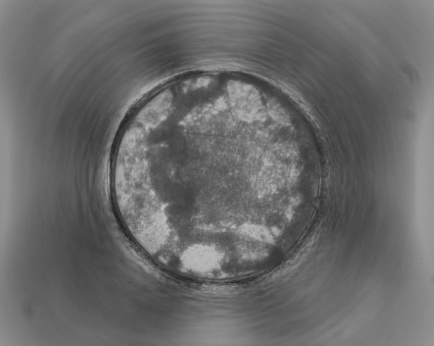 X0000113180840200910021541