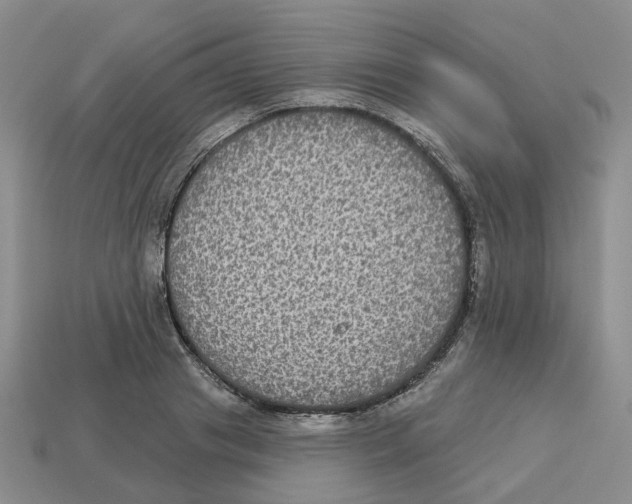 X0000113180841200910021541