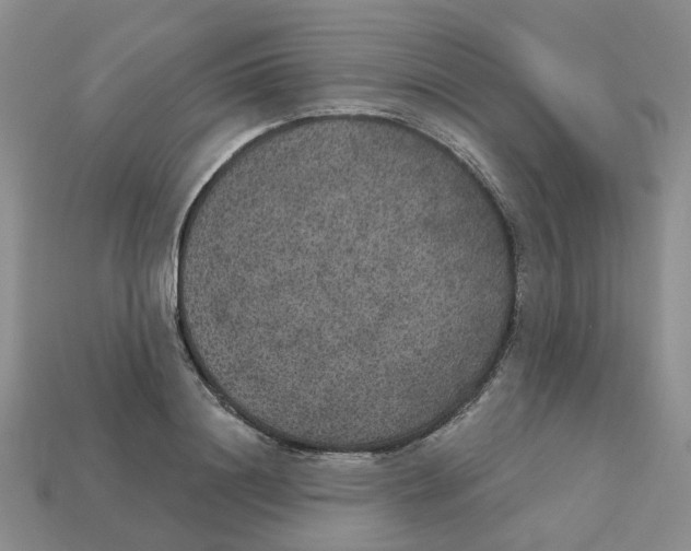 X0000113180844200910021541