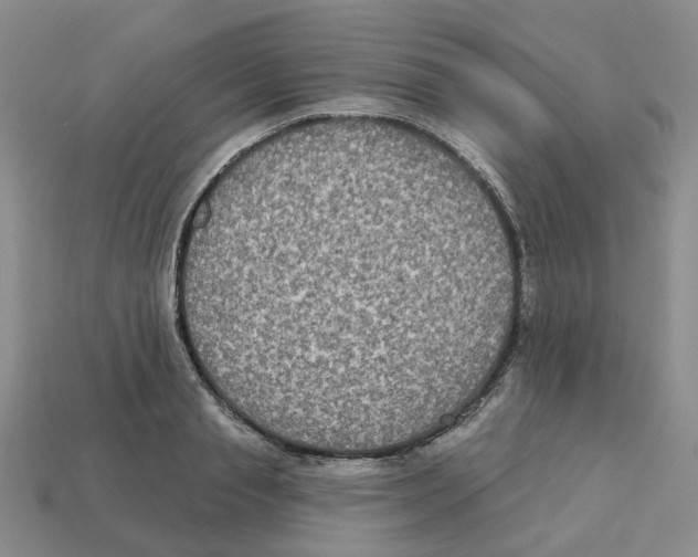 X0000113180845200910021541