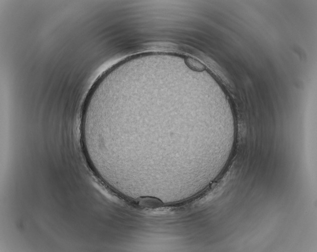 X0000113180846200910021541