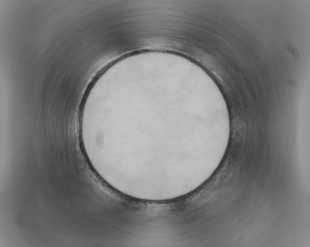 X0000113180848200910021541