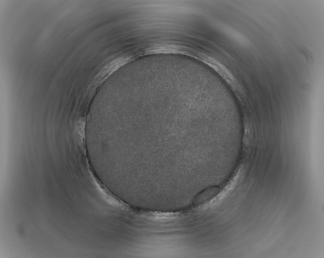X0000113180849200910021541