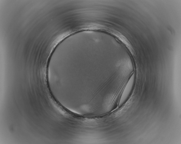 X0000113180850200910021541
