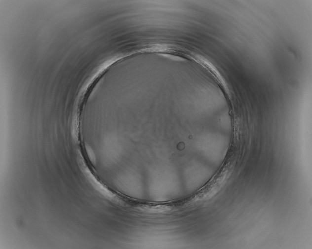 X0000113180851200910021541