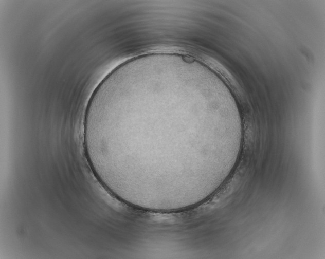 X0000113180852200910021541