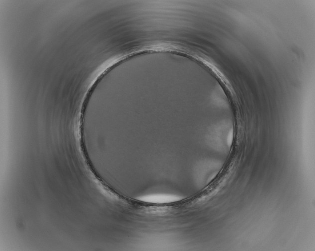 X0000113180853200910021541