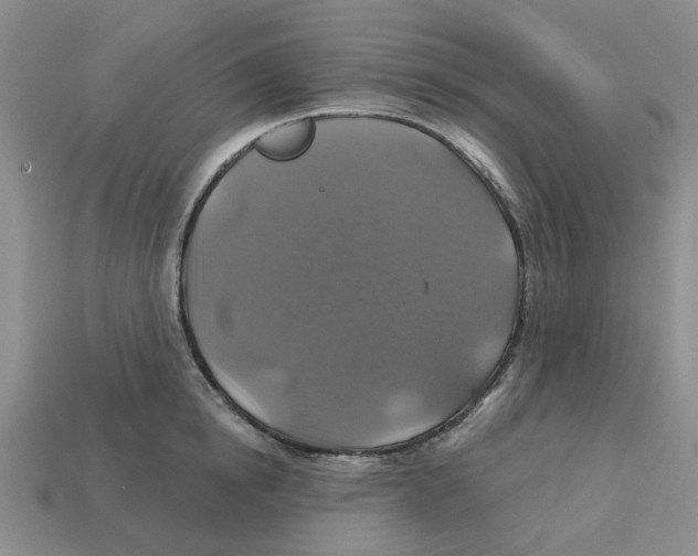 X0000113180854200910021541