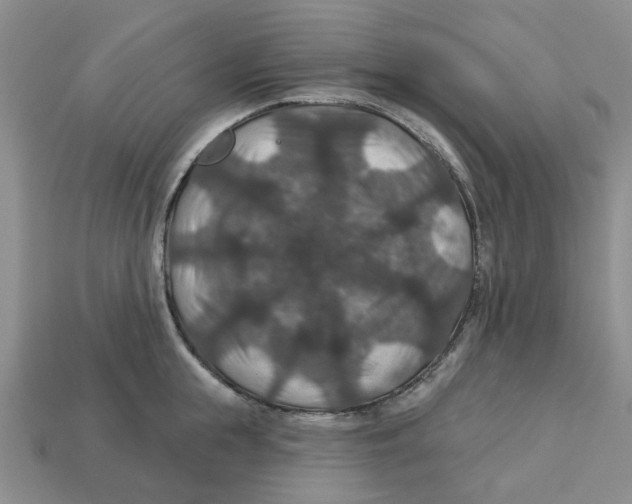 X0000113180855200910021541