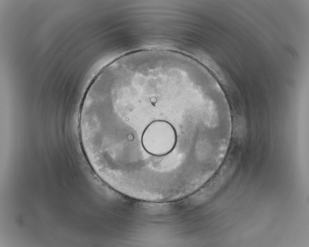 X0000113180856200910021541