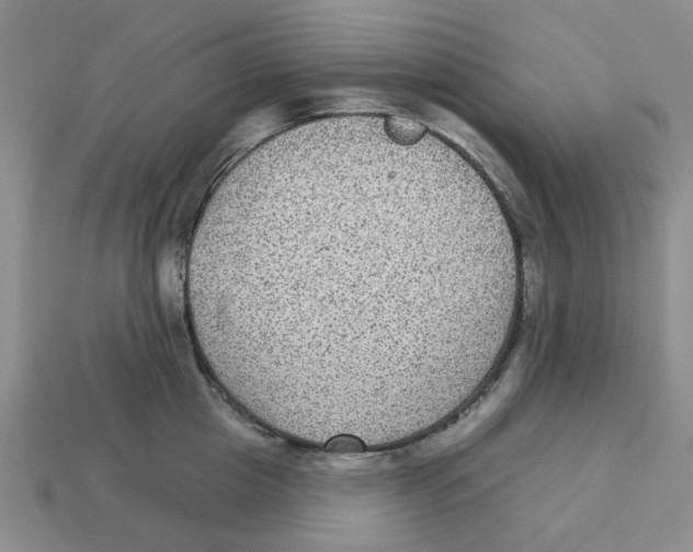 X0000113180857200910021541