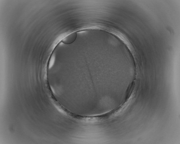 X0000113180858200910021541