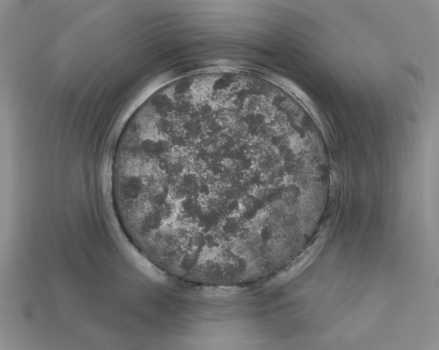X0000113180859200910021541