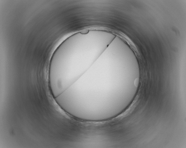X0000113180860200910021541
